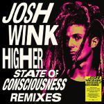 Higher State Of Conciousness (Erol Alkan Remix)