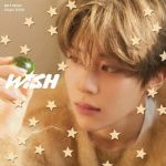 Wish (Sion Version)