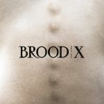 Brood X