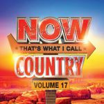 Now That's What I Call Country: Volume 17