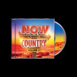 Now That's What I Call Country: Volume 17