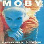 Everything Is Wrong (reissue)