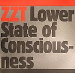 Lower State Of Consciousness