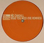 What You Need (The Remixes)