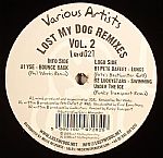 Lost My Dog Remixes Vol 2