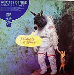 Animals In Space
