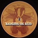 Badgers On Acid