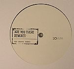 Are You There (remixes)