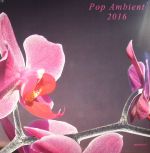 Pop Ambient 2016