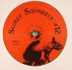 Secret Squirrels #12