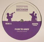 Fade To Grey (Johnny Miller Remixes)