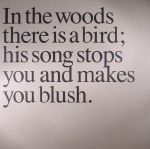 In The Woods There Is A Bird...