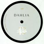 DAHLIA 998