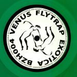 Venus Flytrap Exotica