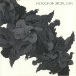 Mitochondrial Sun