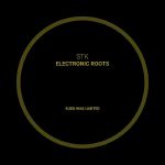 Electronic Roots (DJ SCSI mix)