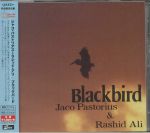 Blackbird (remastered)