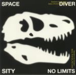 Space Diversity No Limits