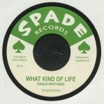 What Kind Of Life (reissue)
