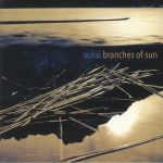 Branches Of Sun
