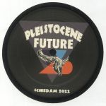 Pleistocene Future 2