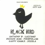 Black Bird: Riddim By City Kay