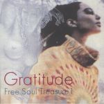 Gratitude: Suburbia Meets Ultra Vybe Free Soul Treasure 1