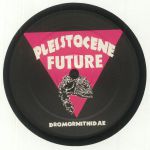 Pleistocene Future 4