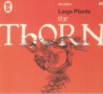 The Thorn