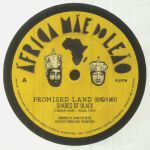 Promised Land (Binghi Mix)