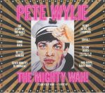 Teach Yself Wah!: A Best Of Pete Wylie & The Mighty Wah!