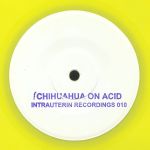 Chihuahua On Acid