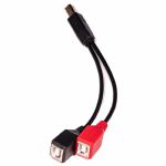 1010 Music USB-B Splitter Cable For Bluebox