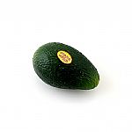 Rhythm Tech Fruit Shaker (avocado)