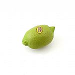 Rhythm Tech Fruit Shaker Lemon