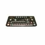 Cyclone Analogic TT-303 Bass Bot Space Monophonic Analogue Synthesiser & Sequencer (black)