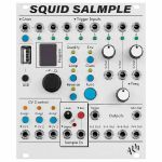 ALM Squid Salmple 8 Channel 4 Output Sampler Module (B-STOCK)