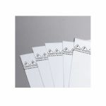 Bags Unlimited 10" Vinyl Record Nostatic Polyethylene & Acid-Free Paper Sleeves (clear, pack of 10)