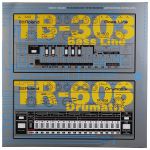 Serato Roland TB-303 Bassline & TR-606 Drumatix 12" Control Vinyl Records (pair)