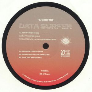 Data Surfer