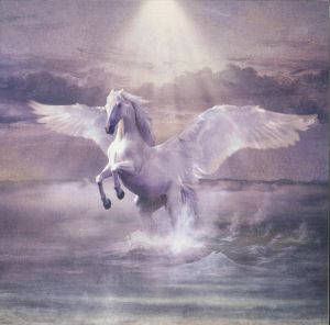 Sulle Ali Del Cavallo Bianco