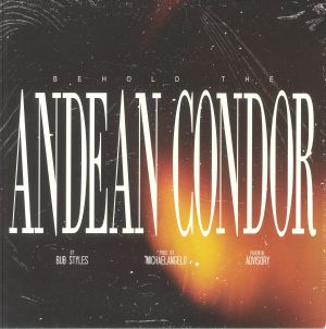Behold The Andean Condor
