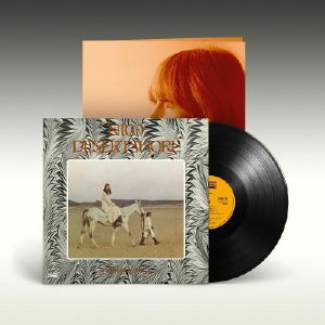Desertshore (B-STOCK)