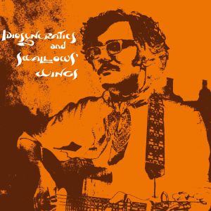 Idiosyncratics & Swallows Wings (reissue)