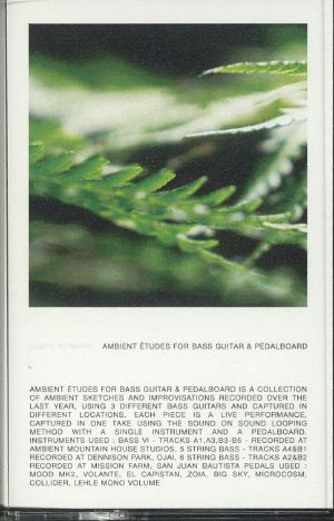 Ambient Etudes For Bass Guitar & Pedalboard
