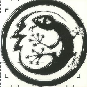 TP 006