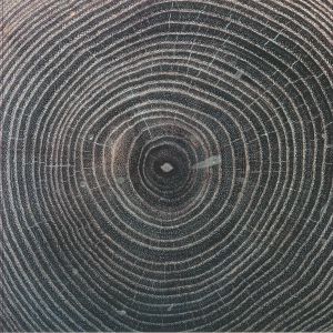 The Satori EP