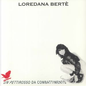 Un Pettirosso Da Combattimento