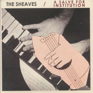 A Salve For Institution