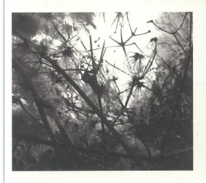 Irradiance